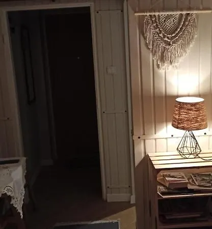 W Centrum-retrospekcja ザコパネ