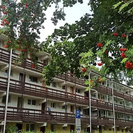 W Centrum-retrospekcja ザコパネ