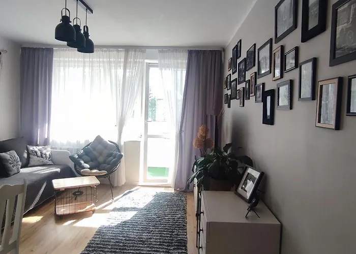 Daire W Centrum-retrospekcja Zakopane