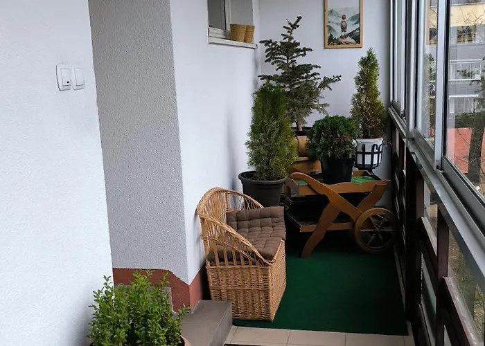 W Centrum-retrospekcja Daire *