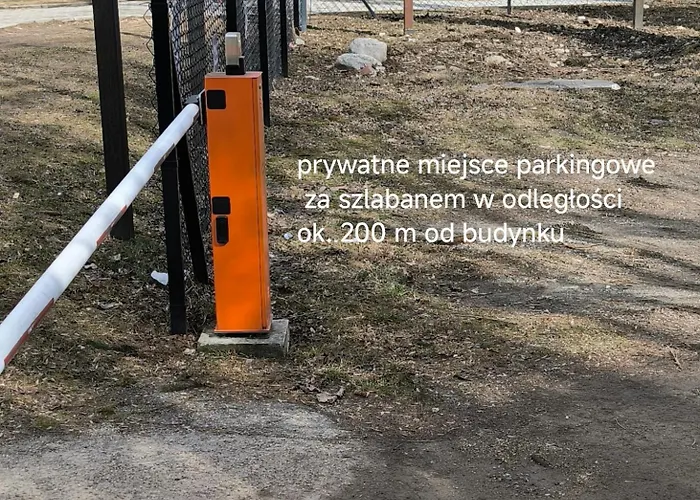 Daire W Centrum-retrospekcja *